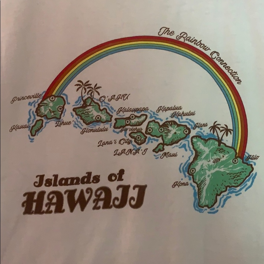 Islands of Hawaii Brandy Melville Crop top